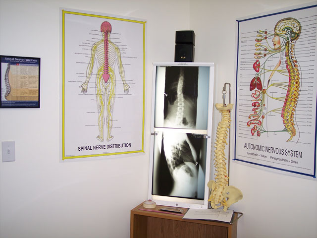 Spad Chiropractic Office